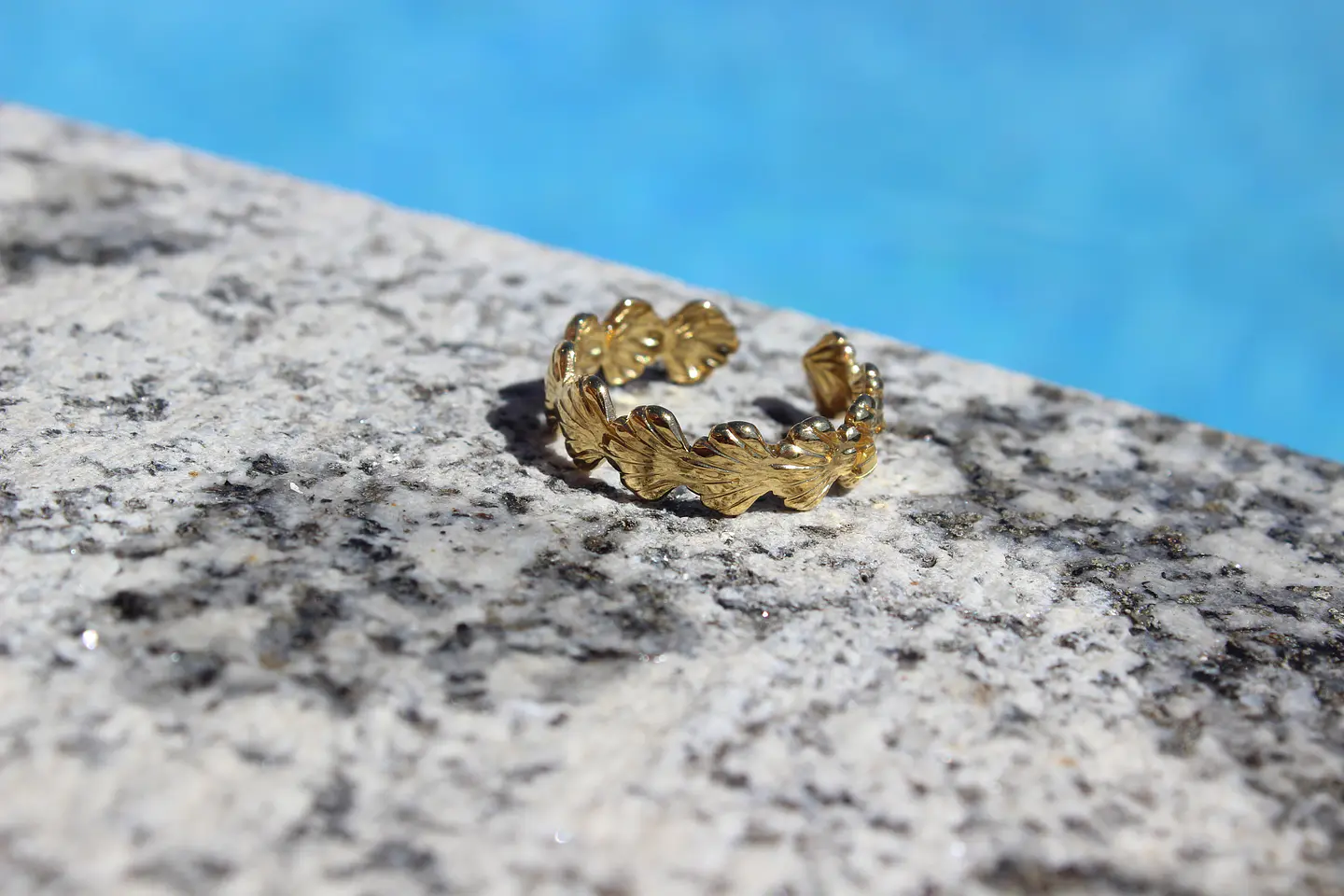 Concha - Anel Dourado 2