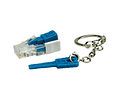 ROLINE Lockable RJ45 Plug with Key