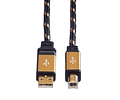 ROLINE GOLD USB2.0 Cabo, A - B