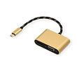 ROLINE GOLD Adaptador, Type C - HDMI + VGA, 4K60