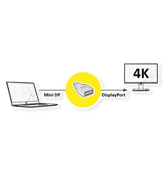 ROLINE Adapter Mini DP - DP, M/F, v1.2