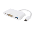 ROLINE Adaptador USB3.2 Gen2 C - DVI, M/F, 1x USB3.2 Gen1 AF, 1x C (PD), plastic housing