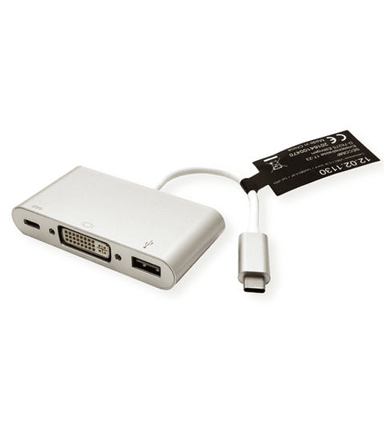 ROLINE Adaptador USB3.2 Gen2 C - DVI, M/F, 1x USB3.2 Gen1 AF, 1x C (PD), plastic housing