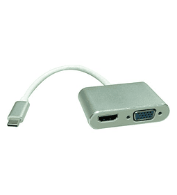 ROLINE Adaptador USB3.2 Gen2 C - HDMI/VGA, M/F