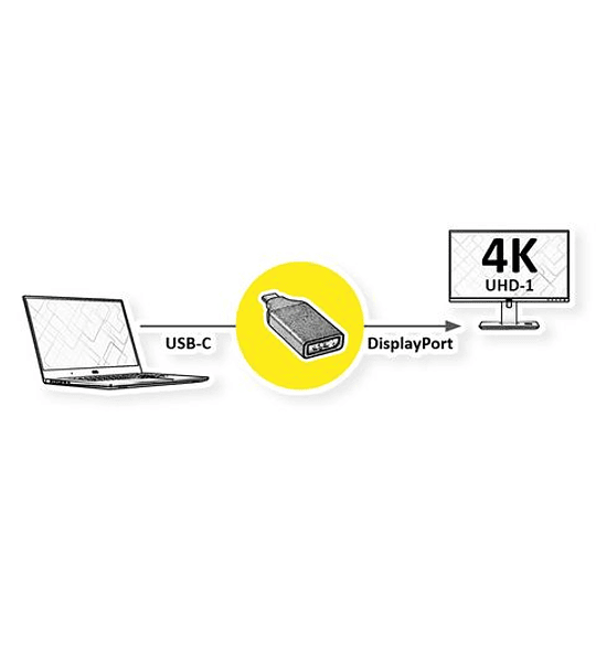 ROLINE GOLD USBType C - DisplayPort Adp., M/F, 4k@60Hz