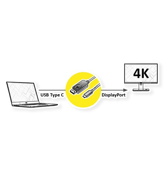 ROLINE Cabo Type C - DisplayPort, v1.2