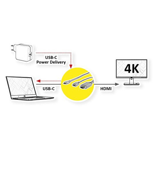 ROLINE Type C - HDMI + USBC Female (PD) Cabo