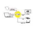 ROLINE Dockingstation C, 1x HDMI, 1x USB3.2 Gen1 AF / C (PD + DATA), 1x RJ45