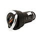 ROLINE USBCar Charger, 2 Port, 15W