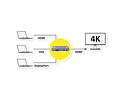 ROLINE HDMI/VGA/DP para HDMI Adaptador