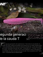 EWE T - TAIL II - Miniatura 1