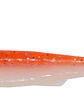 EWE T - TAIL II - Miniatura 5