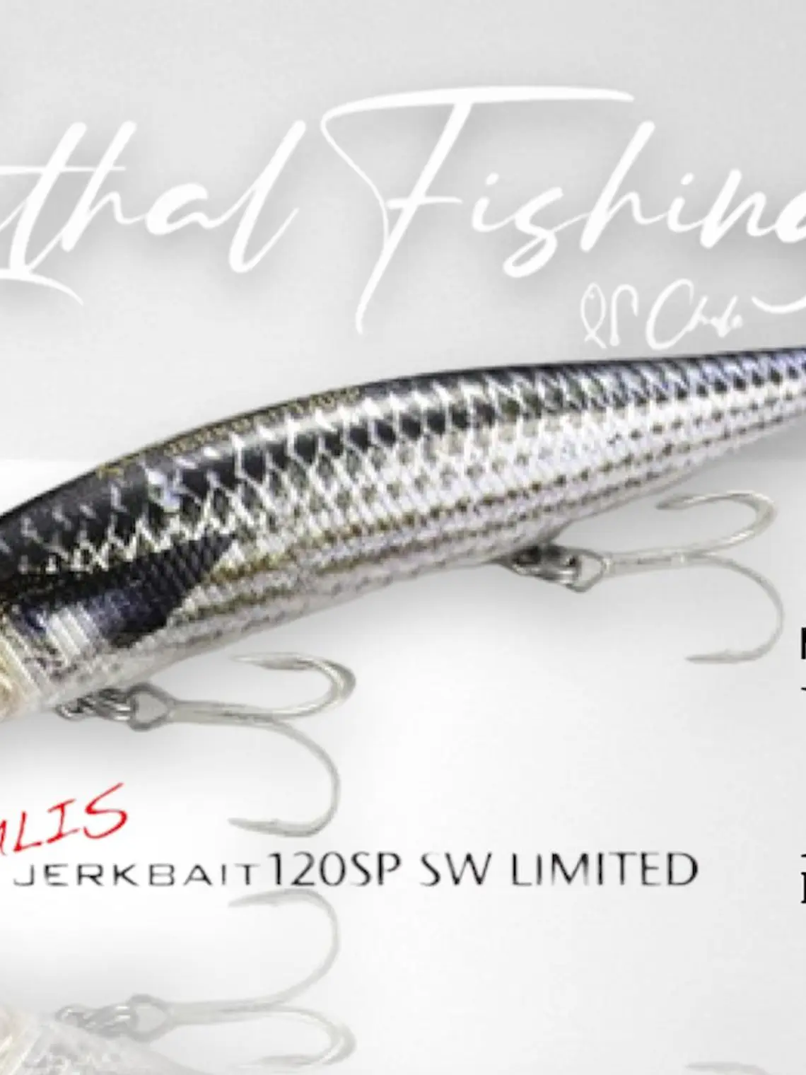 Dúo Realis Jerkbait 120 SP 2