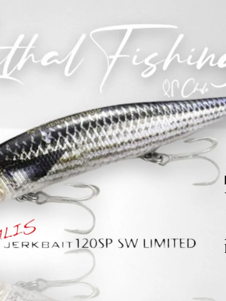 Dúo Realis Jerkbait 120 SP 2