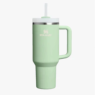 Stanley Quencher H2.0 Adventure Pistachio