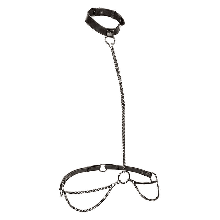 CALEXOTICS - EUPHORIA CHAIN HALTER COLEIRA E TRELA TAMANHO GRANDE 1