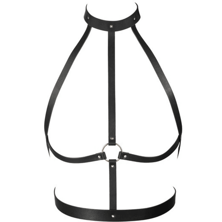 BIJOUX INDISCRETS MAZE - H ARNÊS PRETO 1