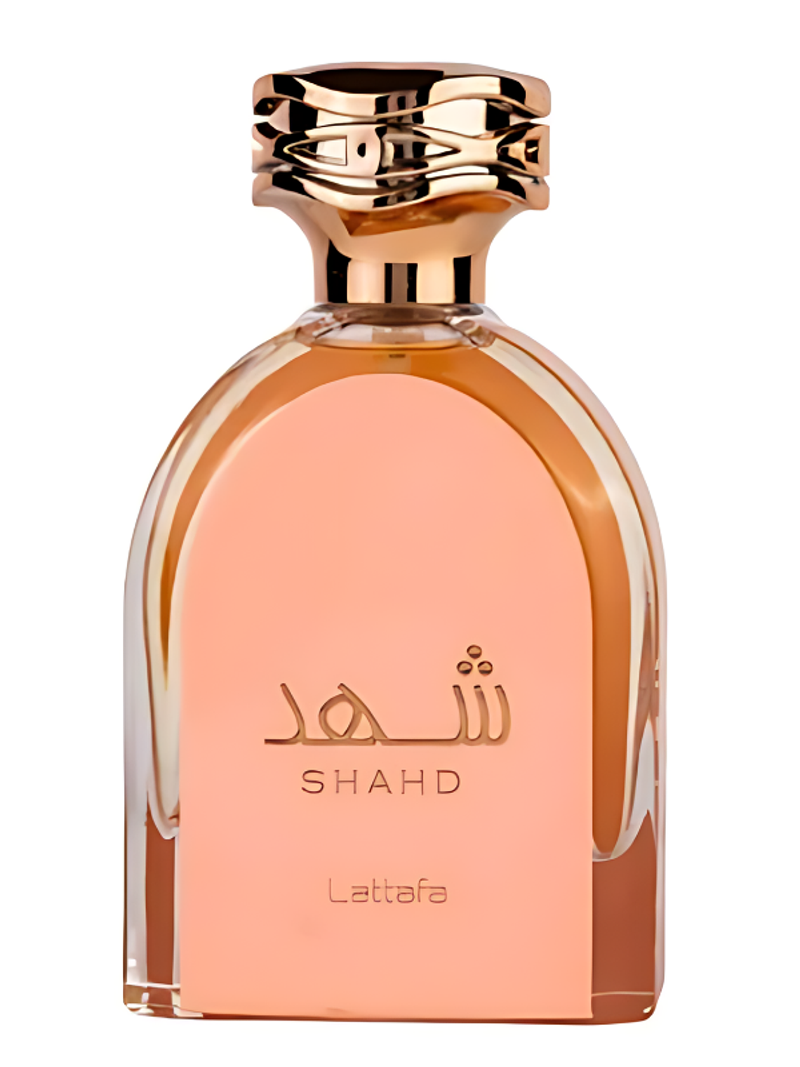 LATTAFA SHAHD EDP 100ML LATTAFA 2