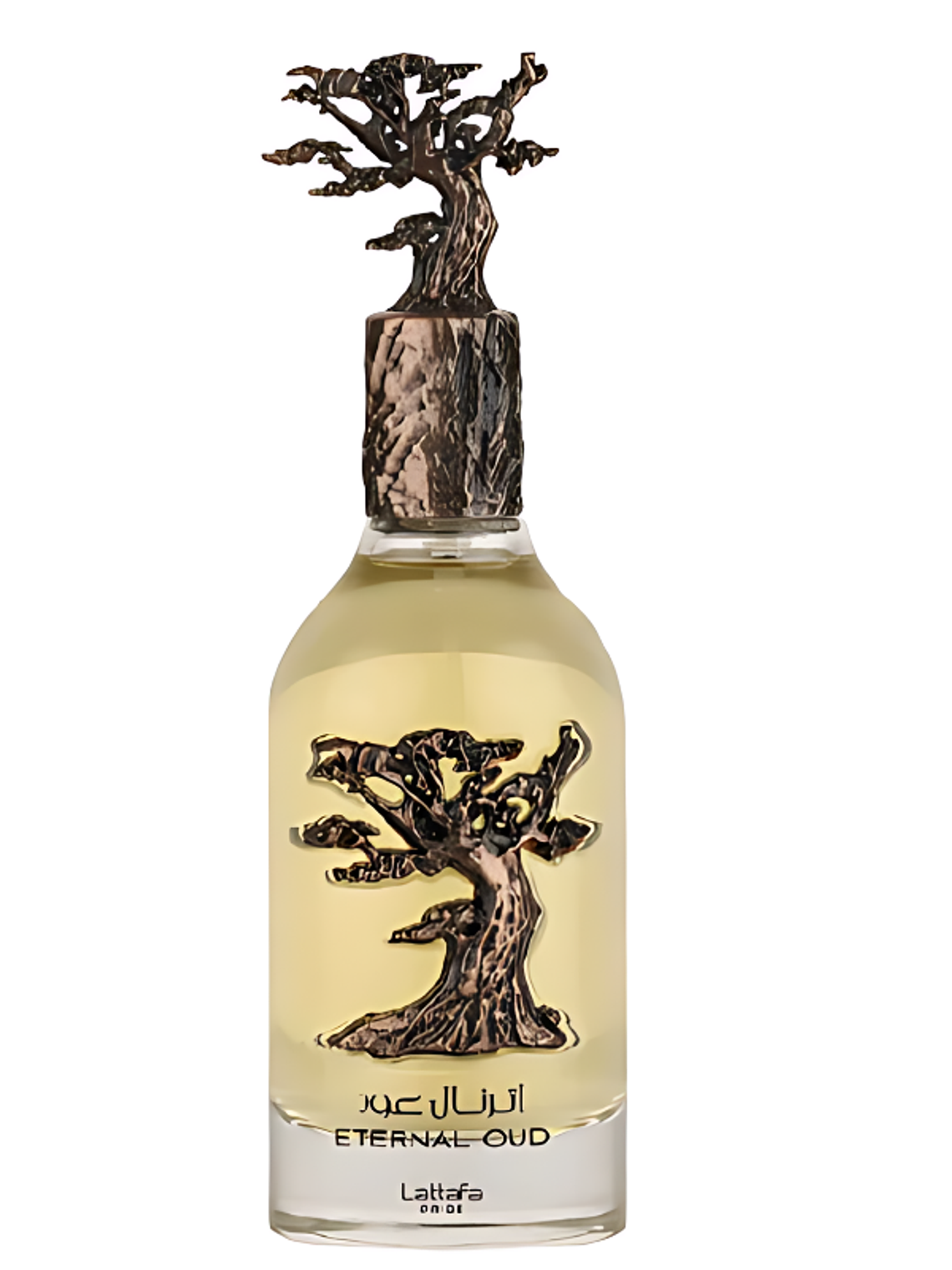 Lattafa Pride Eternal Oud EDP 100ml 2