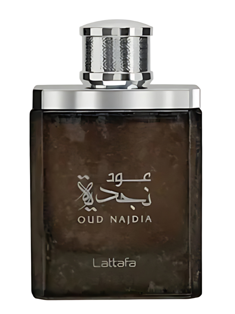Lattafa Oud Najdia Edp 100Ml Lattafa 2