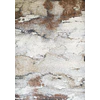 Cotton Rust