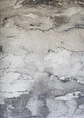 Cotton - thumbnail 4