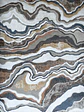 Fossil - thumbnail 2