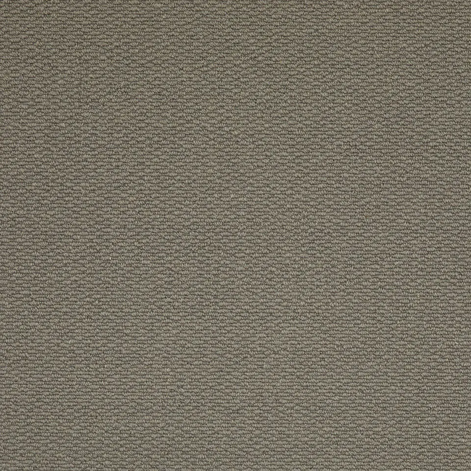 Colombo 8