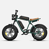 Bicicleta engwe M20