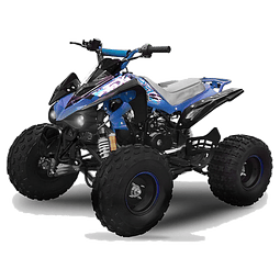 Tox: mini ATV 125 (semi-auto 3+R) Speedbird-8 CGx 125