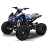 Tox: mini ATV 125 (semi-auto 3+R) Speedbird-8 CGx 125