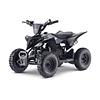 Tox: mini-ATV 49CC Warrior (6") (QD06)