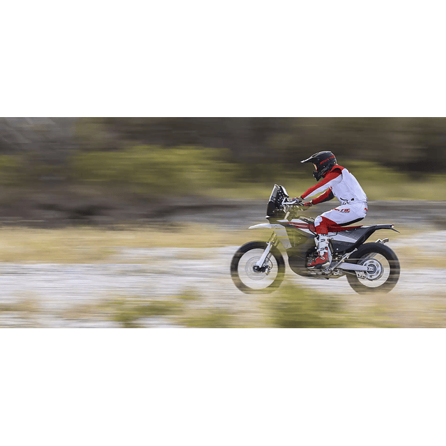 FANTIC: Off-Road XEF 450 Rally 4T