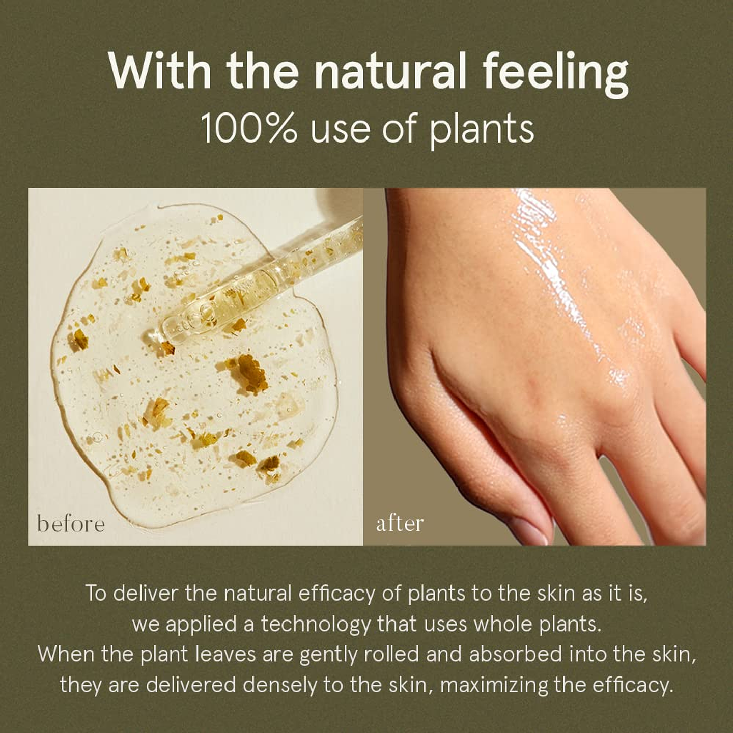 Houttuynia Serum 80ml 7