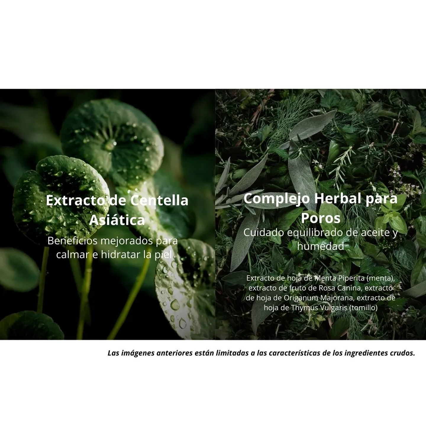 Protector Solar Eco Earth Power Cica Sun Cream 50g 5