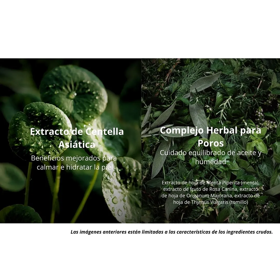 Protector Solar Eco Earth Power Cica Sun Cream 50g 5