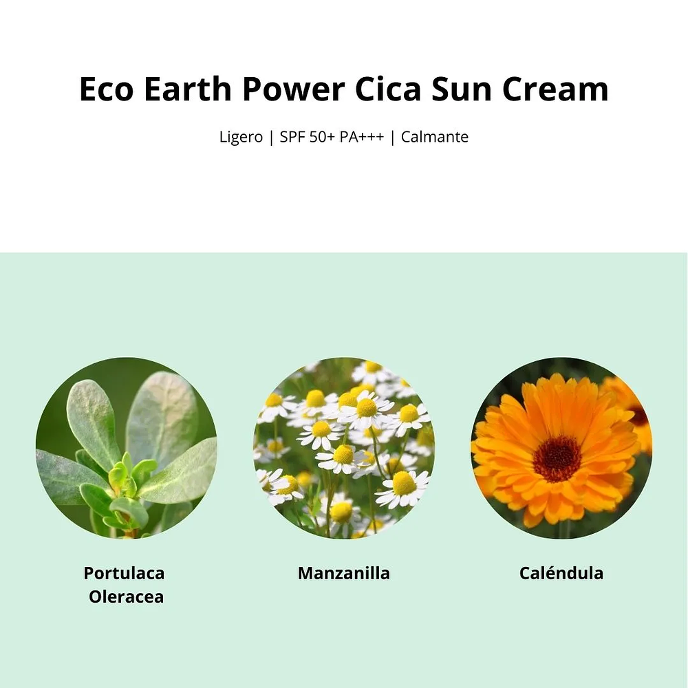 Protector Solar Eco Earth Power Cica Sun Cream 50g