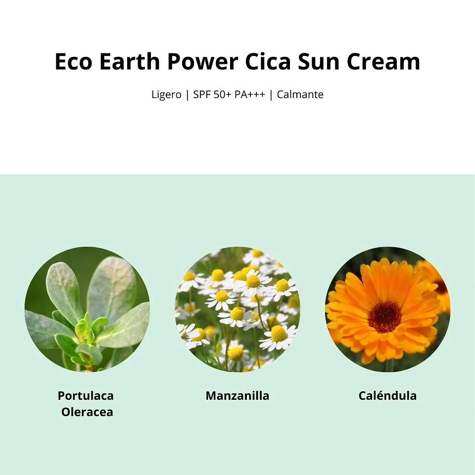 Protector Solar Eco Earth Power Cica Sun Cream 50g 6