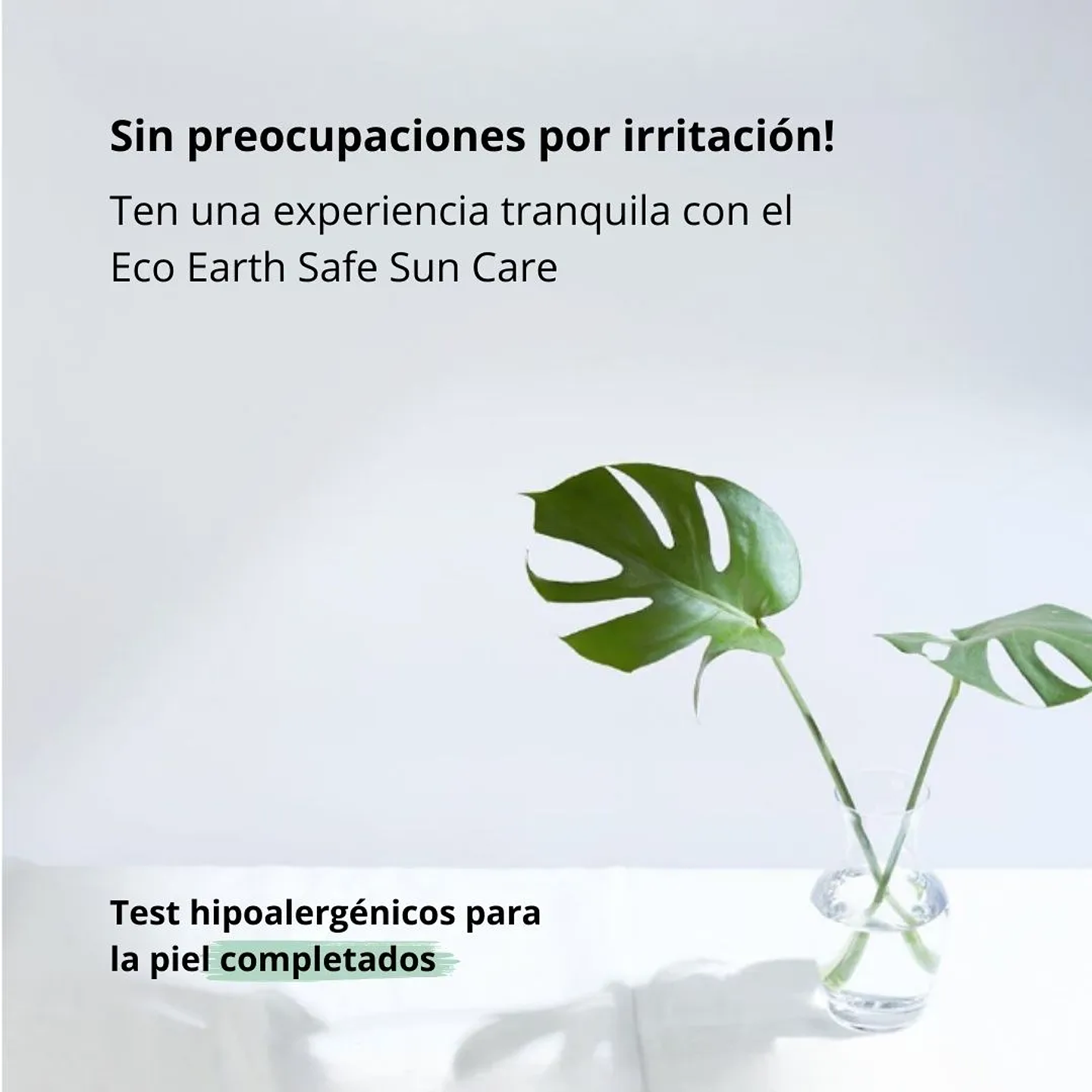 Protector Solar Eco Earth Power Cica Sun Cream 50g 7