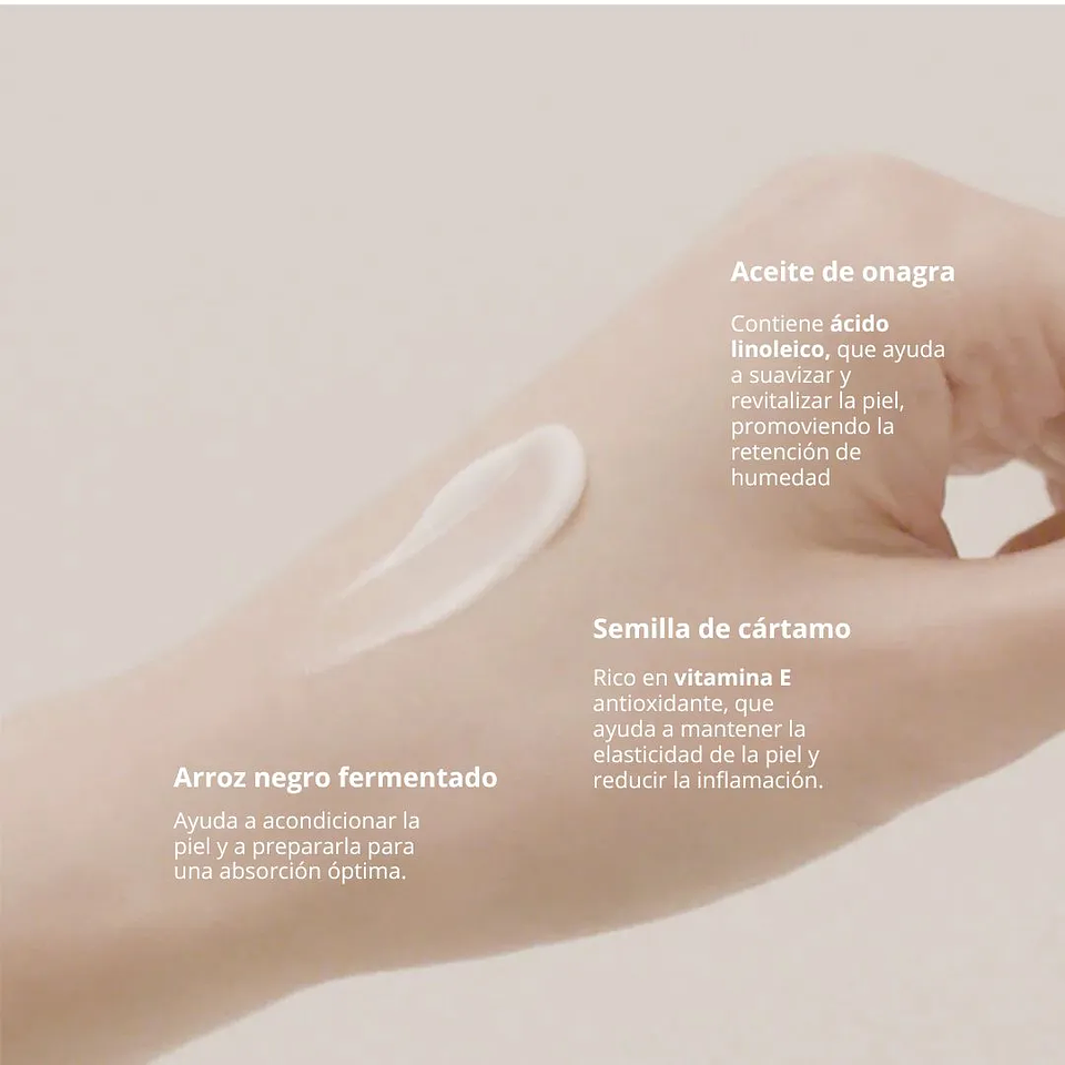 Crema Black Rice 10 Hyaluronic Cream 4