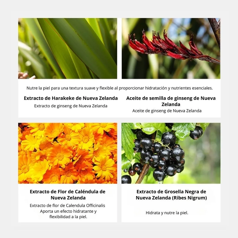 Crema Urban Eco Harakeke Cream 50g 7