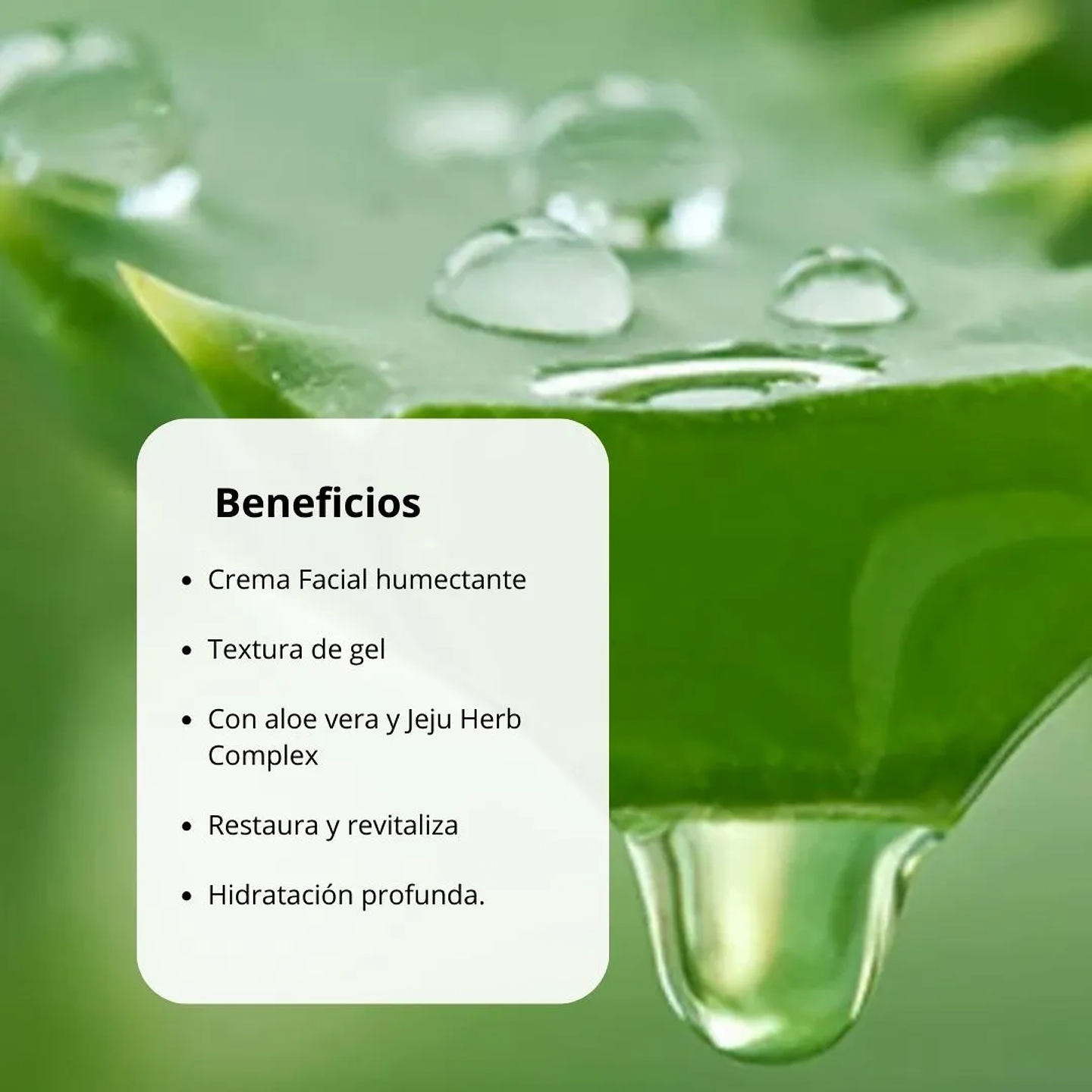 Crema Jeju Fresh Aloe Cream 50g 2