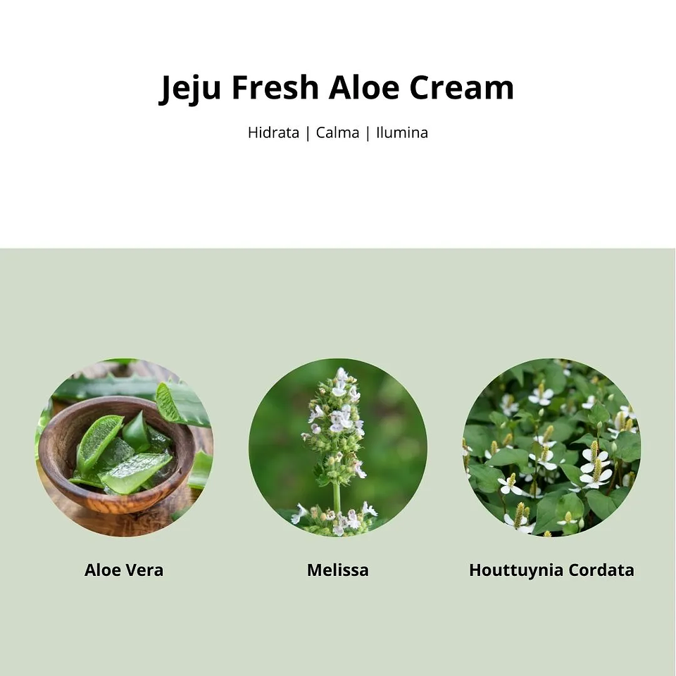 Crema Jeju Fresh Aloe Cream 50g 4