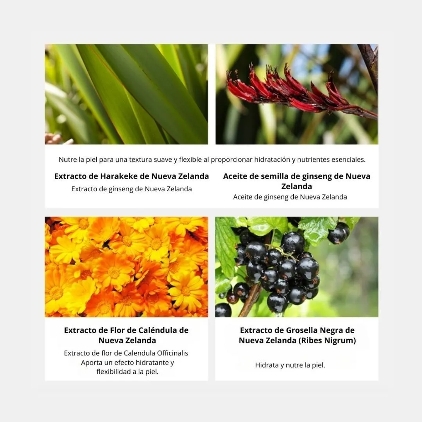 Emulsión Harakeke Deep Moisture Emulsion 130ml 7