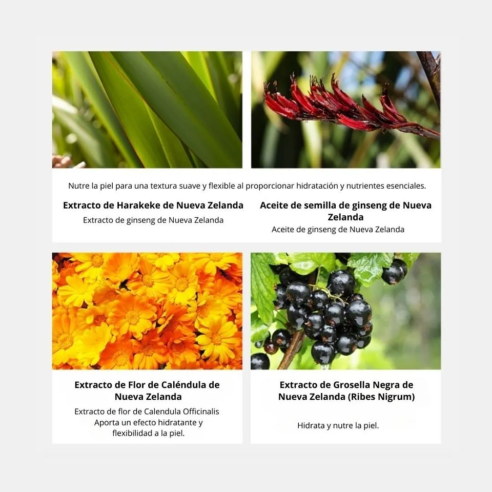 Emulsión Harakeke Deep Moisture Emulsion 130ml 7