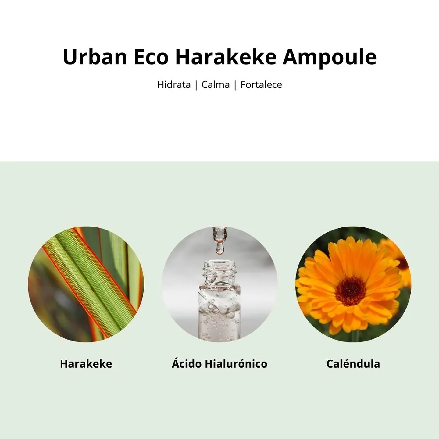 Ampolla Urban Eco Harakeke Ampoule 45ml 4