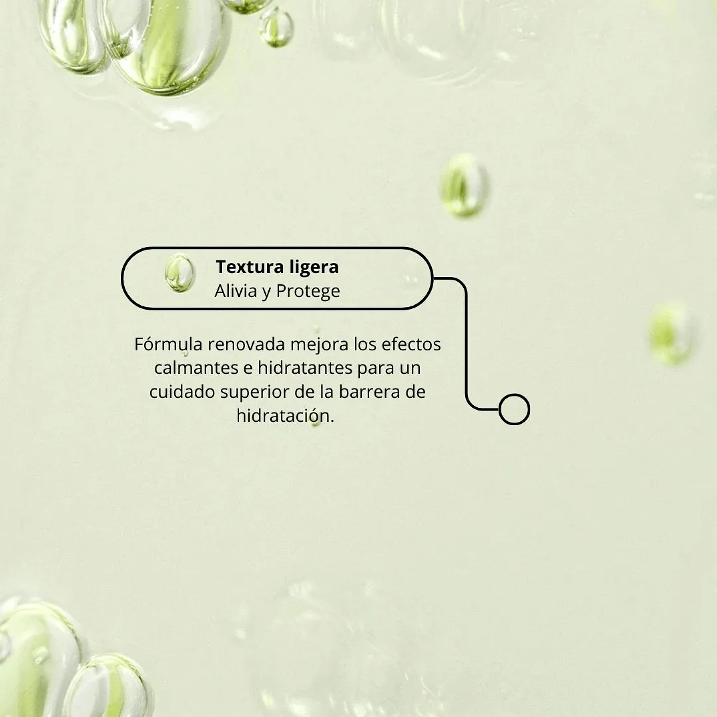 Serum Calming Green Tea + Panthenol 30ml 5