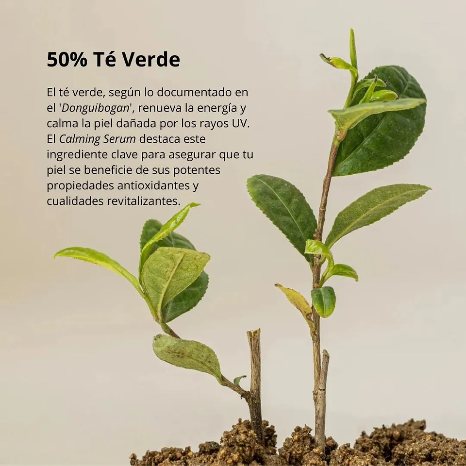 Serum Calming Green Tea + Panthenol 30ml 8