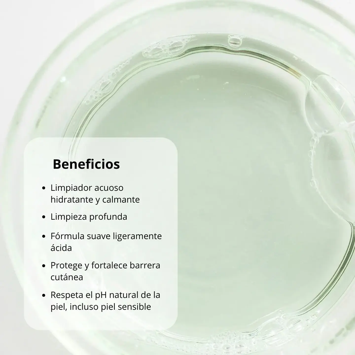 Limpiador Green Plum Refreshing Cleanser 100ml 2