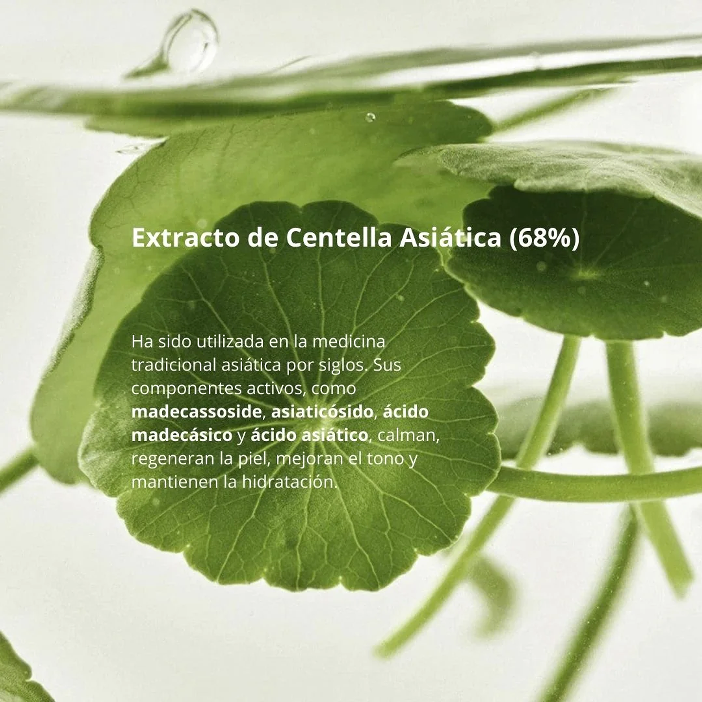 Serum Light on Serum Centella + Vita C 30ml 7